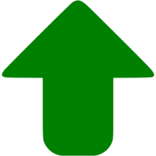 gold coin icon